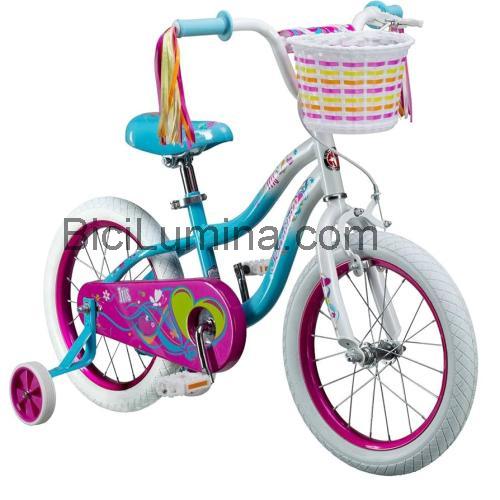 Schwinn Iris opinión y ficha técnica